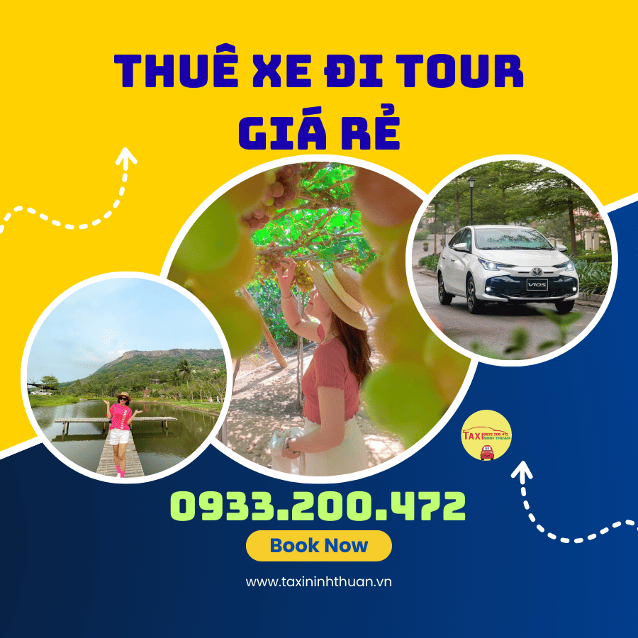 Thuê Xe Đi Tour Giá Rẻ