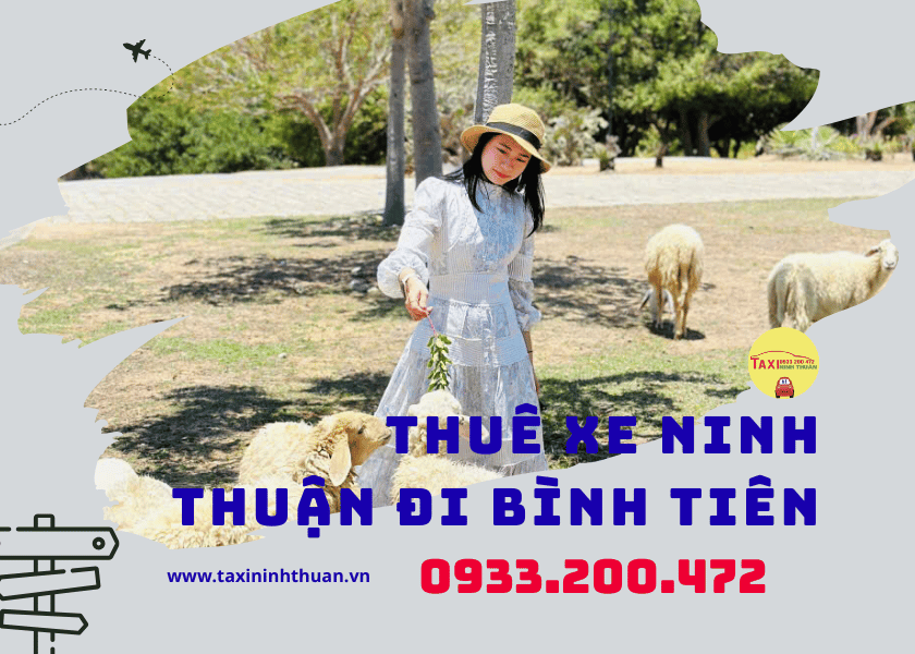 Thuê xe ninh thuận đi bình tiên