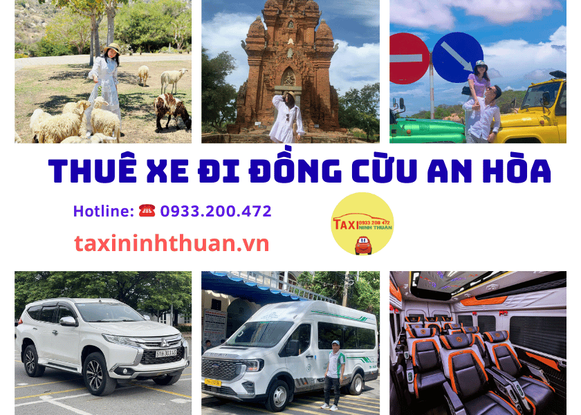 Thuê Xe Đi Đồng Cừu An Hòa