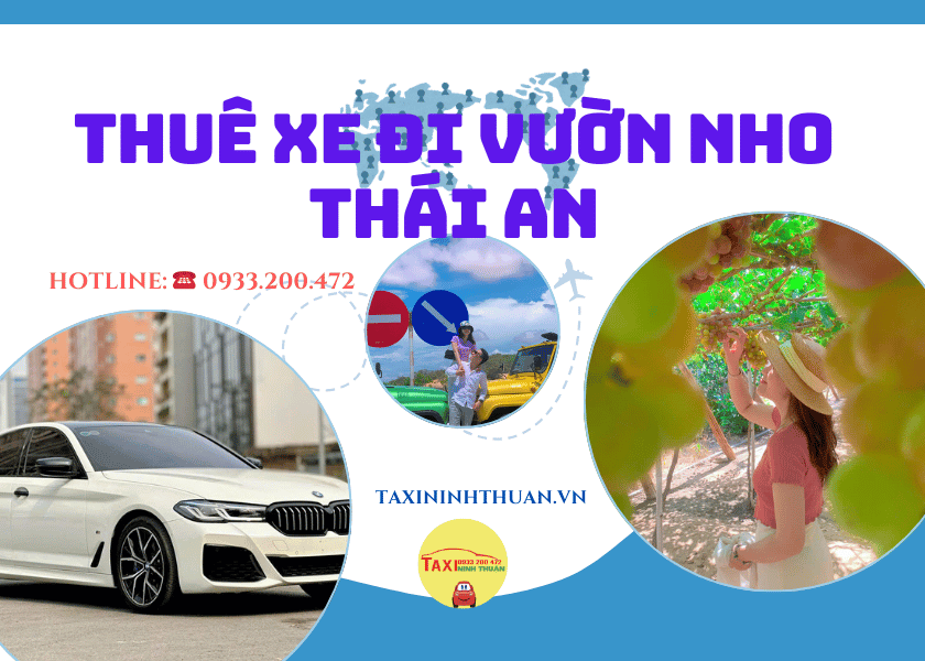 Thuê Xe Đi Vườn Nho Thái An