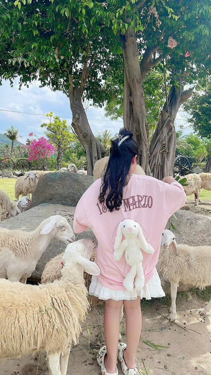 Thuê xe phan rang an toàn