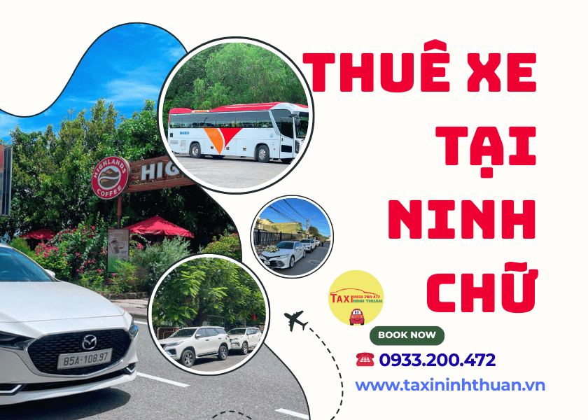 Thuê xe tại Ninh Chữ