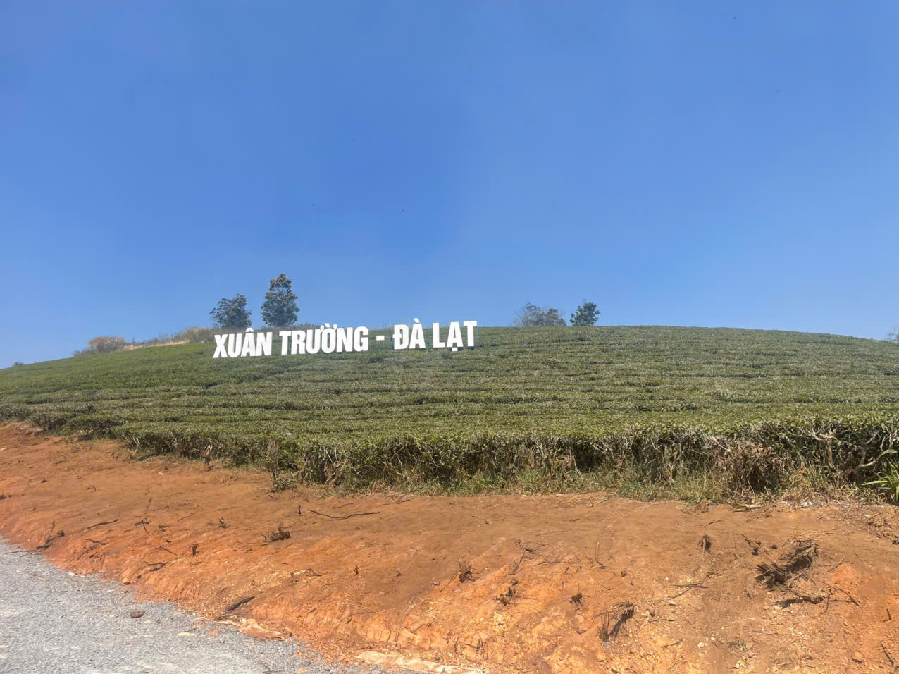Thuê Xe 16 Chỗ Phan Rang Đi Đà Lạt