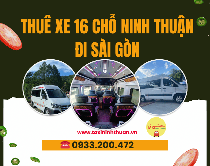 Thuê xe 16 chỗ Ninh Thuận đi Sài Gòn
