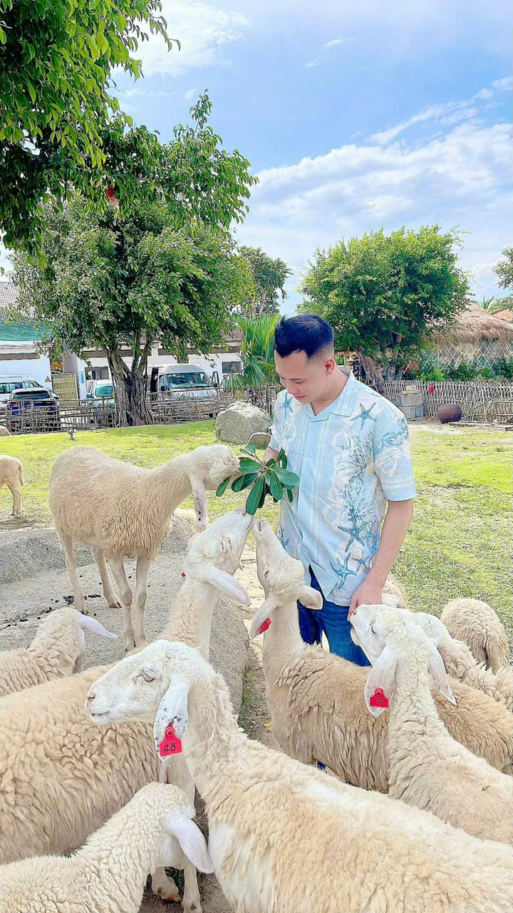 Thuê xe 4 chỗ Ninh Thuận đi Sài Gòn