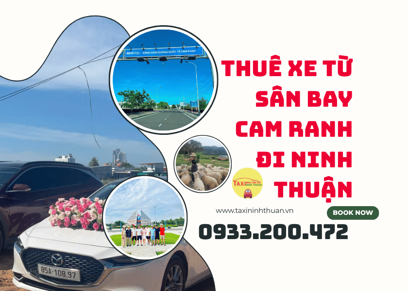 Thuê Xe Từ Sân Bay Cam Ranh Đi Ninh Thuận