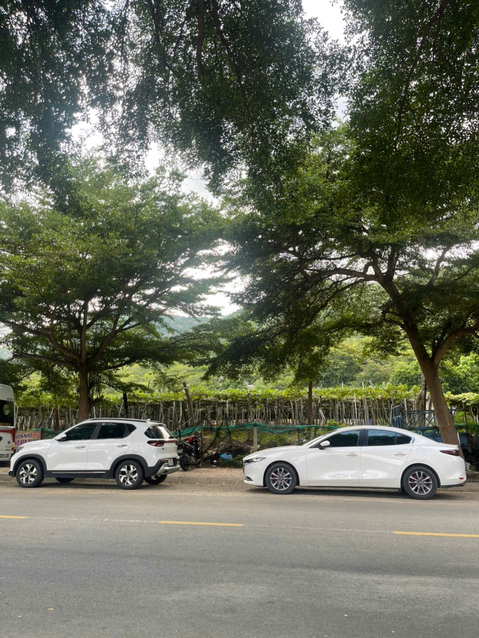 Taxi Từ Thiện Xã Phước Dinh