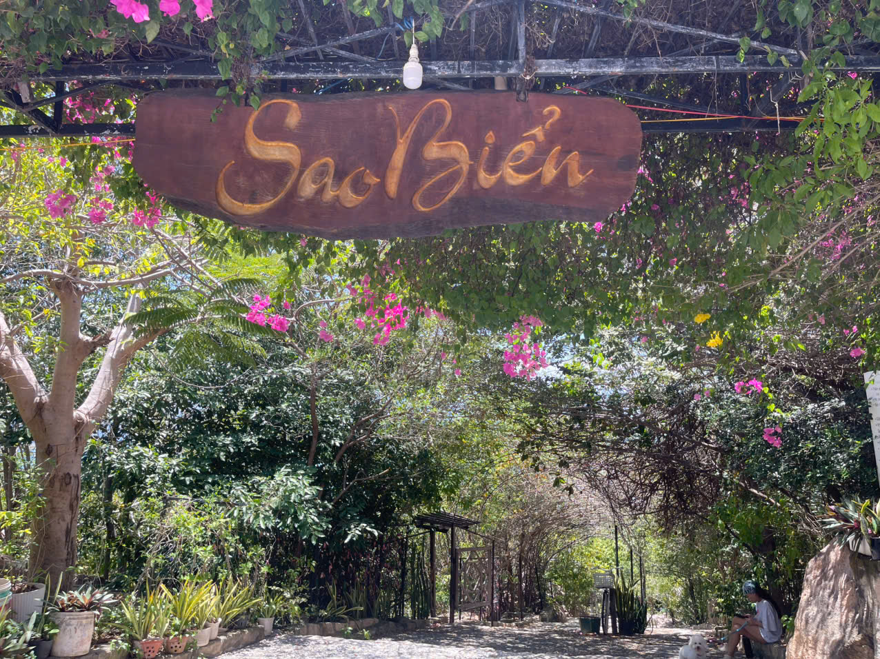 Thuê Xe Nha Trang Đi Sao Biển Bình Lập