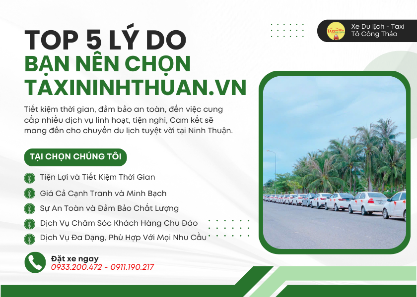 Top 5 Lý Do Bạn Nên Chọn Dịch Vụ Taxi Ninh Thuận Cho Chuyến Du Lịch