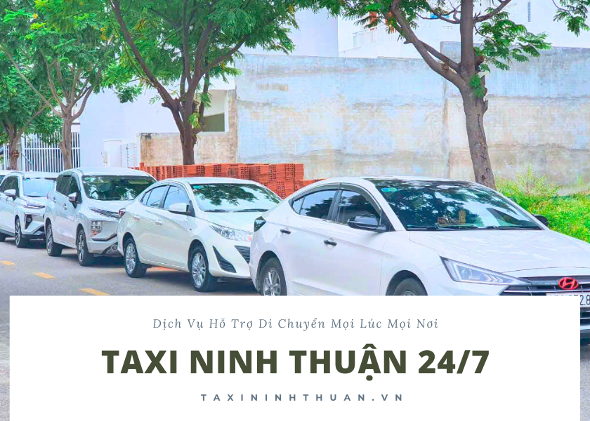 Taxi Tô Công Thảo Ninh Thuận – Dịch Vụ Đưa Đón Sân Bay Cam Ranh 24/7