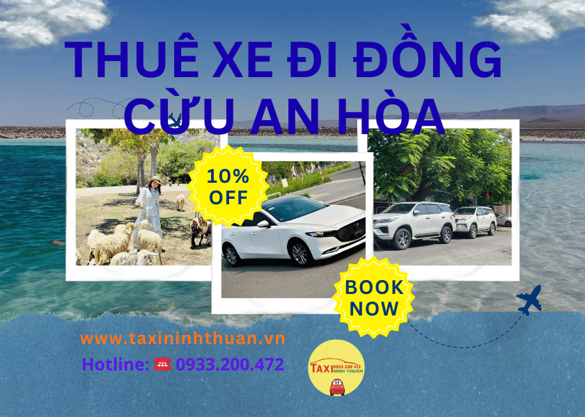 Thuê Xe Đi Đồng Cừu An Hòa