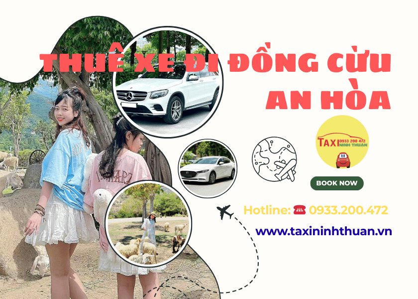 Thuê Xe Đi Đồng Cừu An Hòa