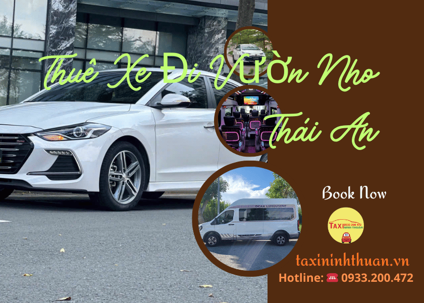 Thuê Xe Đi Vườn Nho Thái An