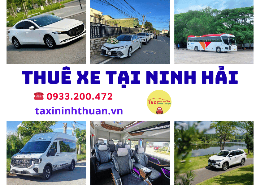 Thuê xe tại Ninh Hải
