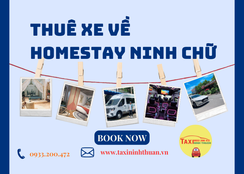 Thuê Xe Về Homestay Ninh Chữ